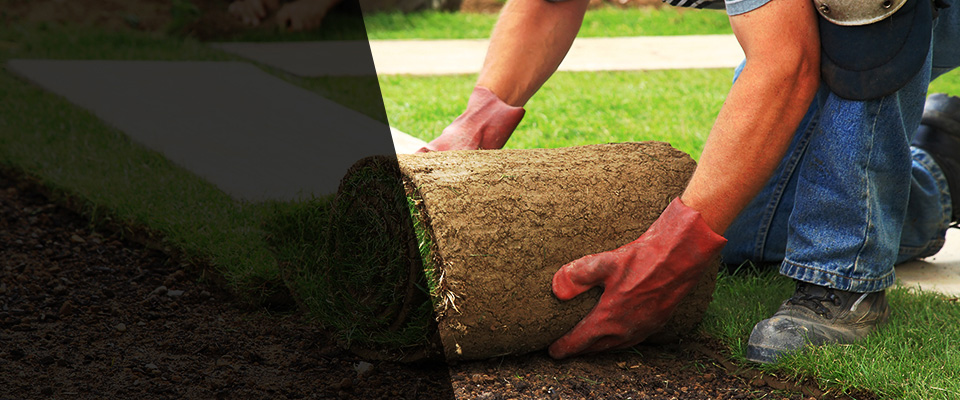 Rio Hondo Landscapers